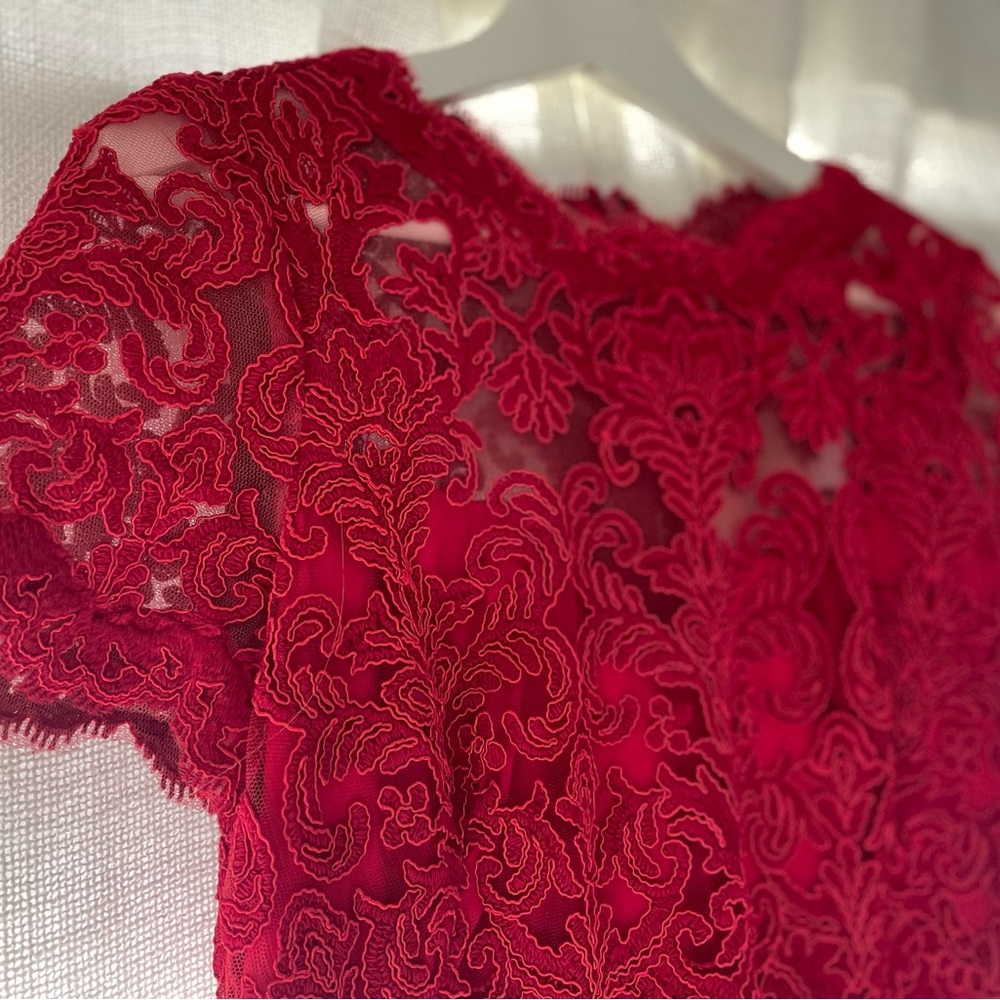 Tadashi Shoji Silas Embroidered Lace Dress Red 6 NWOT - Picture 5 of 6